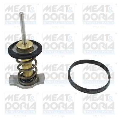 Thermostat, coolant